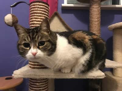 Mary has been rehomed