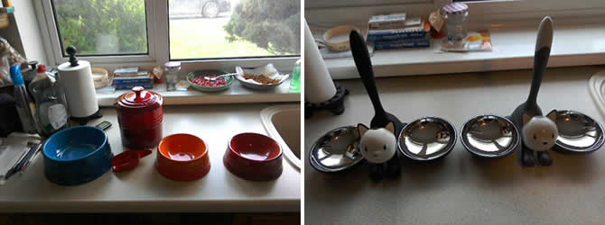 Posh bowls